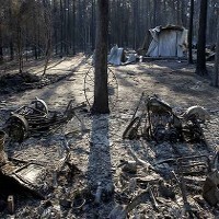 Korban Jiwa Terus Bertambah Akibat Kebakaran di Texas