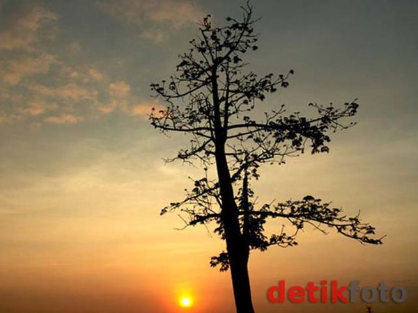 Pesona Alam di Tengah Jawa