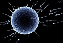 Wow, 1 Pendonor Sperma Punya 150 Keturunan