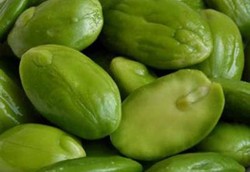 Benarkah Petai Bantu Orang Berhenti Merokok Hingga Cegah Stroke?