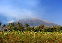 Hutan di Gunung Sumbing Terbakar