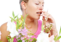 Pemanasan Global Bikin Penderita Alergi Serbuk Sakit Lebih Lama