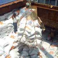 Cadangan Beras ASEAN+3 Bertambah Jadi 780.000 Ton