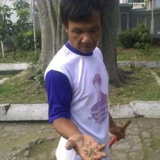 Diserang Ulat Bulu, Pintu Kantor Kecamatan Antapani Ditutup