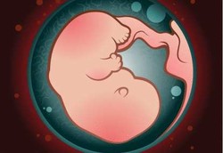 Janin Dalam Rahim Sudah Bisa Tertawa dan Menangis