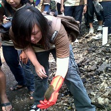  Jaga Kelestarian Baksil, Burung dan Tupai Dilepas Bebas