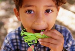 Makan Aneh Sampai Keracunan Kasusnya Terus Meningkat