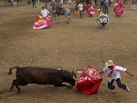 Tarung Banteng ala Matador di Kolombia