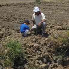 Kesulitan Mengairi Lahan Pertanian, Petani Dijanjikan Sumur Bor