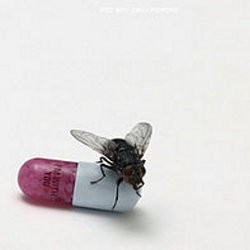 Im With You: Ikrar RHCP untuk Jadi Band Baru Lagi
