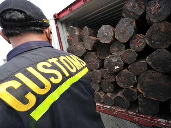 18 Kontainer Kayu Ilegal Diamankan