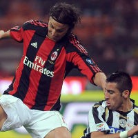 Zebra Coba Melawan Singa yang Terluka