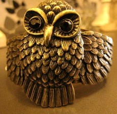 Lebih  Stylish dengan Aksesori Burung Hantu