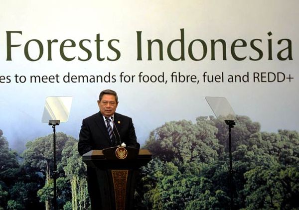 Pidato SBY di Konferensi Hutan Indonesia