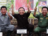 Mentan Resmikan Food Estate