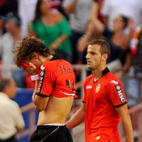 Kelelawar Hitam Bisa Mengejutkan