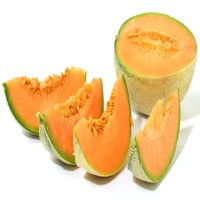 Buah Melon Tewaskan 13 Orang di Amerika!