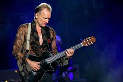 Sting Merilis Box Set The Best of 25 Years
