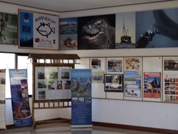 Dont Worry be happy di Labuan Bajo