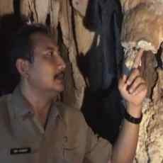 Penemuan Goa Bersuara Gong di Nganjuk Bukan Buatan Manusia