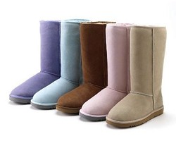 Rakun Dikuliti Hidup-hidup untuk Buat Boots Murah