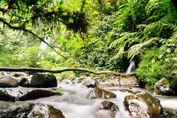 Tubing. Menantang Adrenalin dan Menikmati Alam