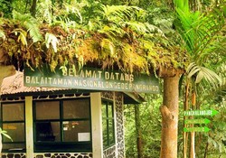 Mengakrabi Macan Tutul di Gunung Pangrango