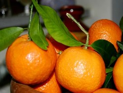 Yuk, Makan Jeruk Agar Kulit Segar dan Kencang!