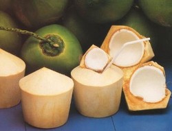 Mobil Masa Depan Bakal Terbuat dari Serat Kelapa