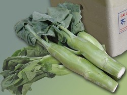 Wow... Ini Dia Kailan Raksasa Dari Cina!