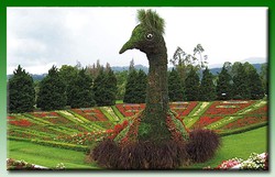 Taman Bunga Nusantara