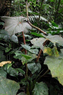 Dont Wory By The Thinks