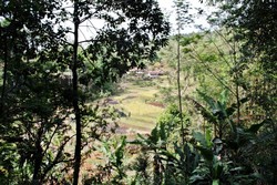 Kerta Angsana, Desanya Goa