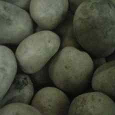 Harga Kentang di Pasaran Turun