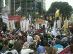 Petani Kentang Desak Menteri Perdagangan Turun