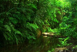 Ikut ikutan jungle training ternyata seru ! (part 1)