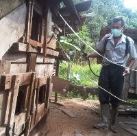 Flu Burung Serang Lombok, Sepekan 1.000 Ayam Mati Mendadak