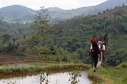 Sembilan Jam, Menuju Citalahab