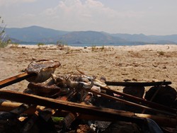 Potong-potong Sotong di Pulau Rutong
