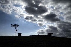 Laga Saga di Tanah Hobba Kalla