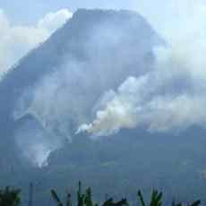 Perhutani Pastikan Kebakaran di Gunung Panderman Padam