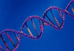 Rahasia Wanita Tertua 115 Tahun Terungkap