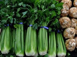 Seledri si Pemicu Gairah Seks