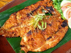 Ini Dia Resto Seafood Lezat di Jogja