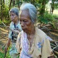 Film Indonesia Disambut Hangat di Bioskop Norwegia