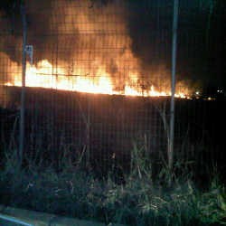 Api di Pasar Mobil Kemayoran Berhasil Dipadamkan, Puluhan Kios Hangus