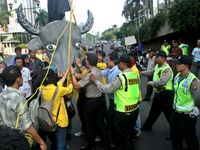 Kepala Kerbau yang Bikin Polisi Geram
