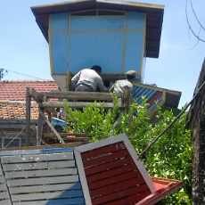 Satpol PP dan Polisi Bongkar Rumah Burung Merpati Aduan