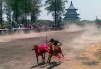 MUI Pamekasan Imbau Joki Kerapan Sapi Tak Menyiksa Sapi