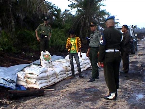 Pembukaan Kebun Sawit Pemkab Rohil Dihentikan